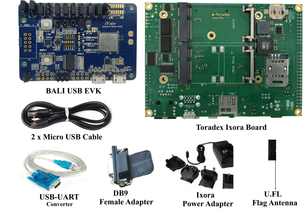 iVativ BALI USB DVK