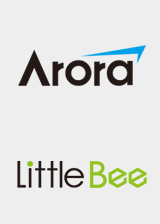 GOWIN Arora & LittleBee FPGA