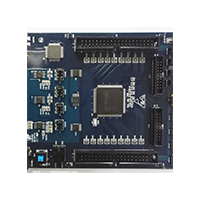Development Board