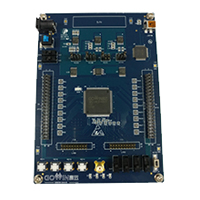 Development Board