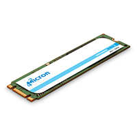 1300 256GB M.2 SSD
